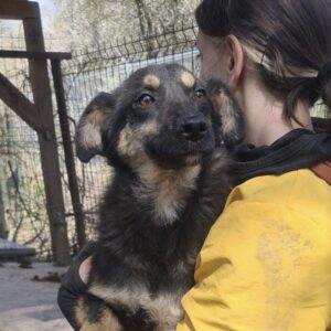 KAROLINA - ausgereist zum TST Rösrath