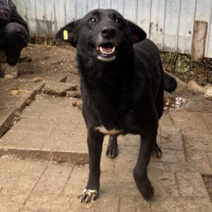 MAITA - vermittelt Alexandra