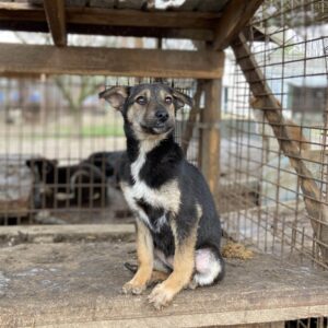 RINA - reserviert Alexandra - vermittelt