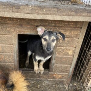 CAMU - vermittelt MD