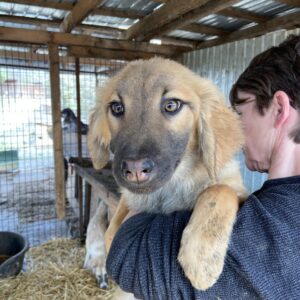 QULLA - bereits unsicher - auf PDR PS im PLZ Bezirk 21 - vermittelt