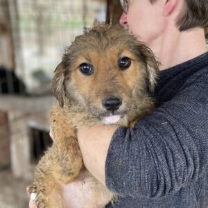 KIANA - auf PDR PS im PLZ Bezirk 39 - vermittelt