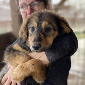 JARAH - auf PDR PS im PLZ Bezirk 74 - vermittelt