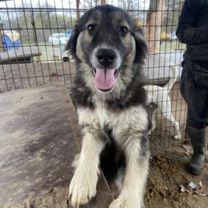 UMA - vermittelt Betty