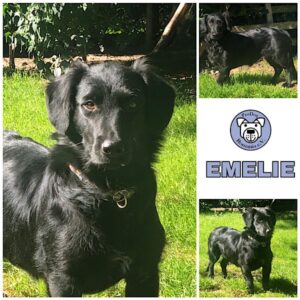 Emelie in 41564 Kaarst