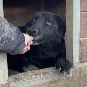 ROUVEN - vermisst 11/24