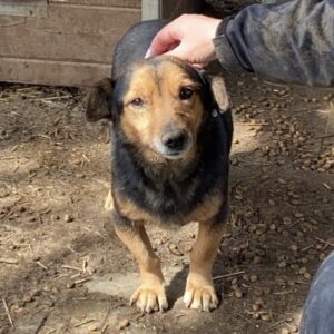 BERTI - vermittelt Kathleen Müller