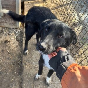 KAFKA - ausgereist zum TST Rösrath