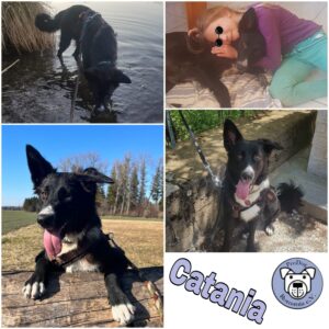 Catania in 82223 Eichenau *vermittelt*