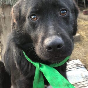 KAJU - reserviert Eliza/ Orga 10.03 - vermittelt