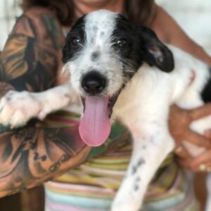 TAFFI - auf PDR PS im PLZ Bezirk 50 - vermittelt