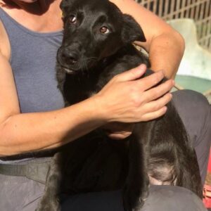 SMASH - vermittelt JW