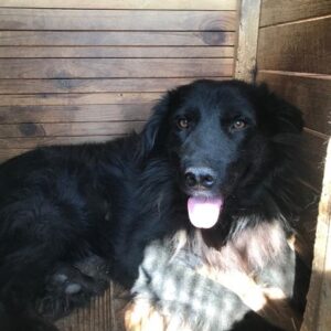 KIRON - auf PDR PS im PLZ Bezirk 56 *ausgereist*