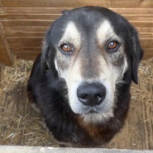 CHRISTOPHER - auf PDR PS im PLZ Bezirk 93