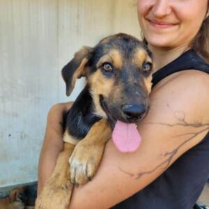 SNOOPS - vermittelt MD