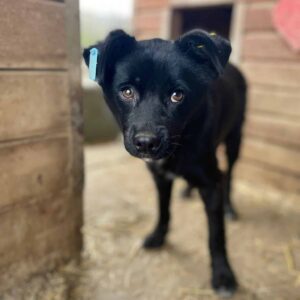 BILL - reserviert Betty - vermittelt