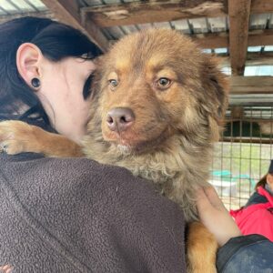 TYRO - vermittelt Alexandra