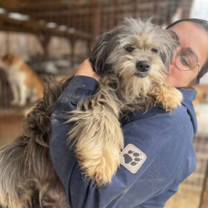 VIKTORIA - reserviert MD - vermittelt