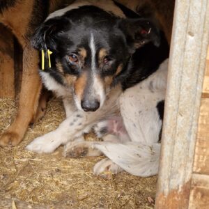 MALVIN - RBB 20.07.2022