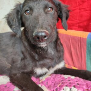 FUNNY - reserviert Alexandra vermittelt