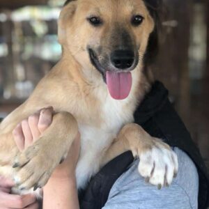 SCHNUFF - reserviert Alexandra vermittelt