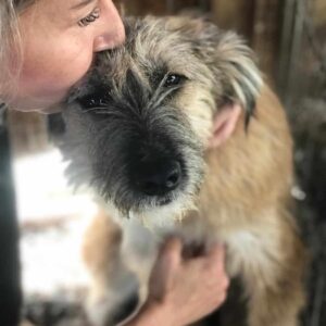 TIPONI - auf Pflegestelle in PLZ 2 *vermittelt*