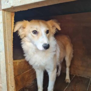 MAEVE - auf Pflegestelle in PLZ 8 vermittelt