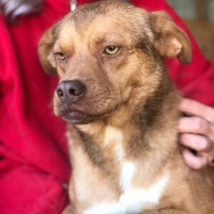 TIM - reserviert TST Rösrath - vermittelt