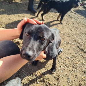 GUINNESS - Rolli-Platz - ausgereist zu Gerda Matias (AT)