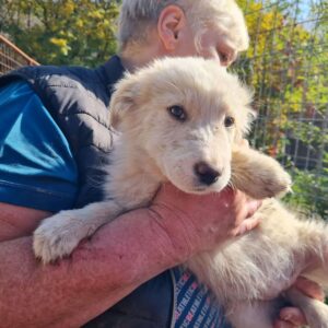 BINA - reserviert TH Limburg - vermittelt