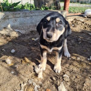 VINJA - RBB 05.12.2022