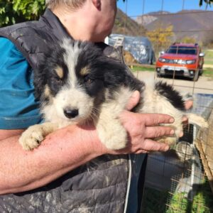 ARUNA - reserviert Betty vermittelt