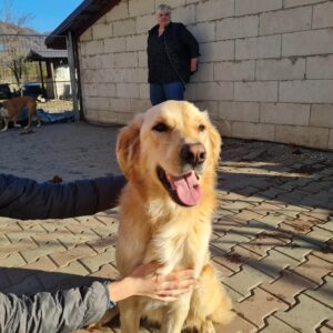 MILA - reserviert GC vermittelt