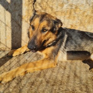 LIVANA - reserviert Manuela - vermittelt