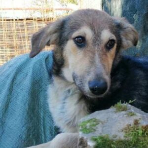 ISANA - vor Ort vermittelt (01/23)