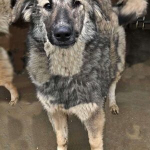 NUALA - ausgereist (Anna L - Orga Eliza)