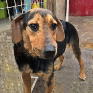 ATLAS - reserviert MfTL / THS - vermittelt