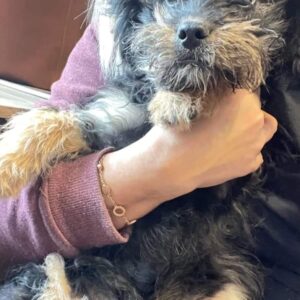 LILI - reserviert JW - vermittelt