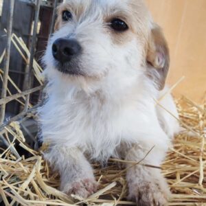 ANNEMIE - reserviert Kathleen Müller - vermittelt