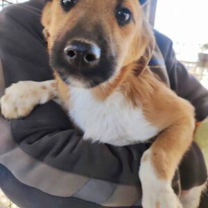 LOTTO - reserviert TST Rösrath - vermittelt