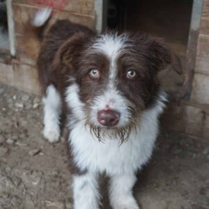 FUFFU - reserviert Kathleen Müller - vermittelt