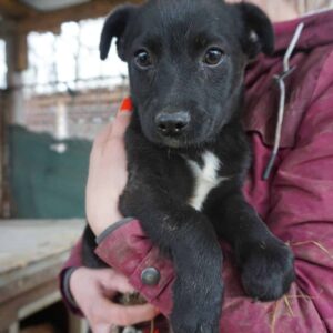 DELAY - vermittelt Manuela