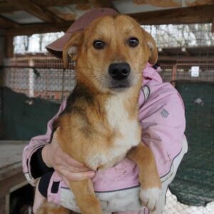 NEELIX - auf PDR PS im PLZ Bezirk 74 - vermittelt