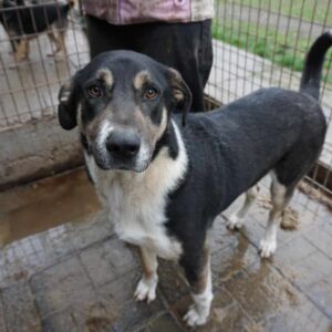 MICKS - reserviert Manuela - vermittelt