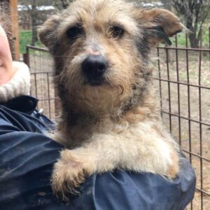 KERSTIN - auf PDR PS im PLZ Bezirk 74 - vermittelt