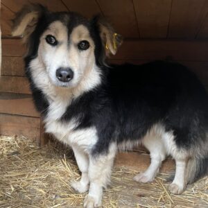 GUCCI - vermittelt Betty