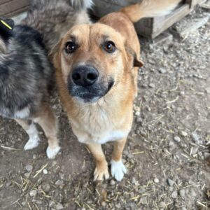 FLINN - vermisst 11/24