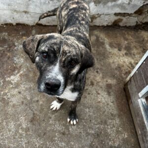 GUSTO - vermittelt Manuela