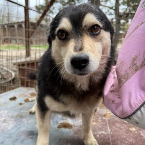 FADIE - vermittelt LS