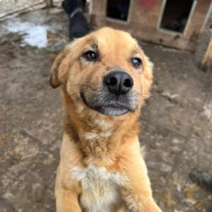 SVERRE-reserviert TST Rösrath 8/9 - RBB 07/23